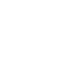 Institute of International Education Seal